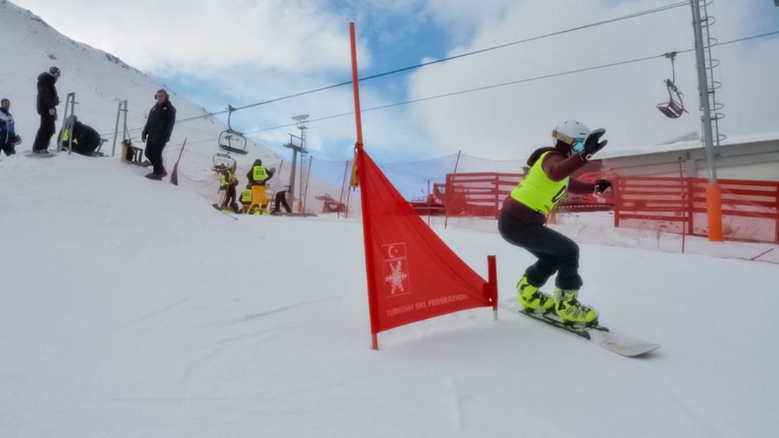 Snowboard